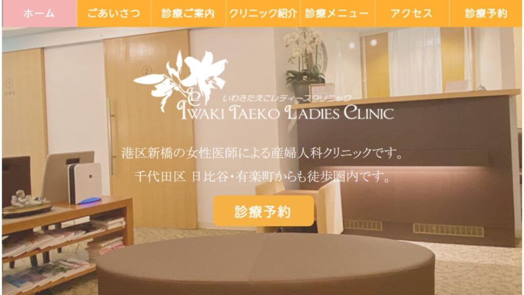 17-iwakitaekolady 【東銀座】ピル処方でおすすめの産婦人科10選！病院やクリニックをご紹介！
